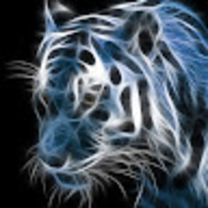 Meet your Posher, Larry